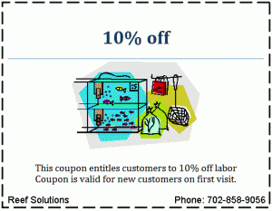 Coupon Coupon